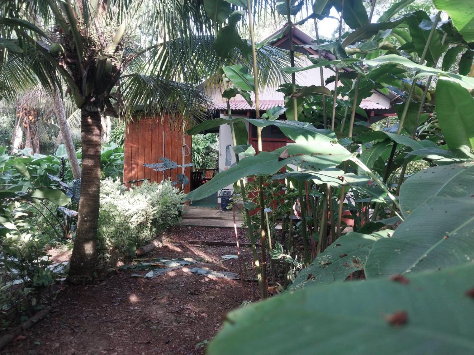 Jardin De Las Musas Puerto Maldonado Room photo